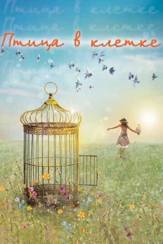Птица в клетке (2013) смотреть онлайн