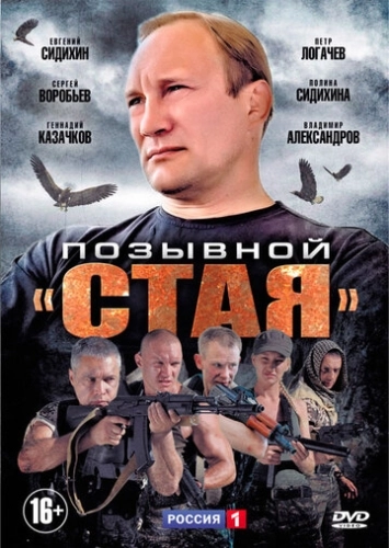 Позывной «Стая» (2013) смотреть онлайн